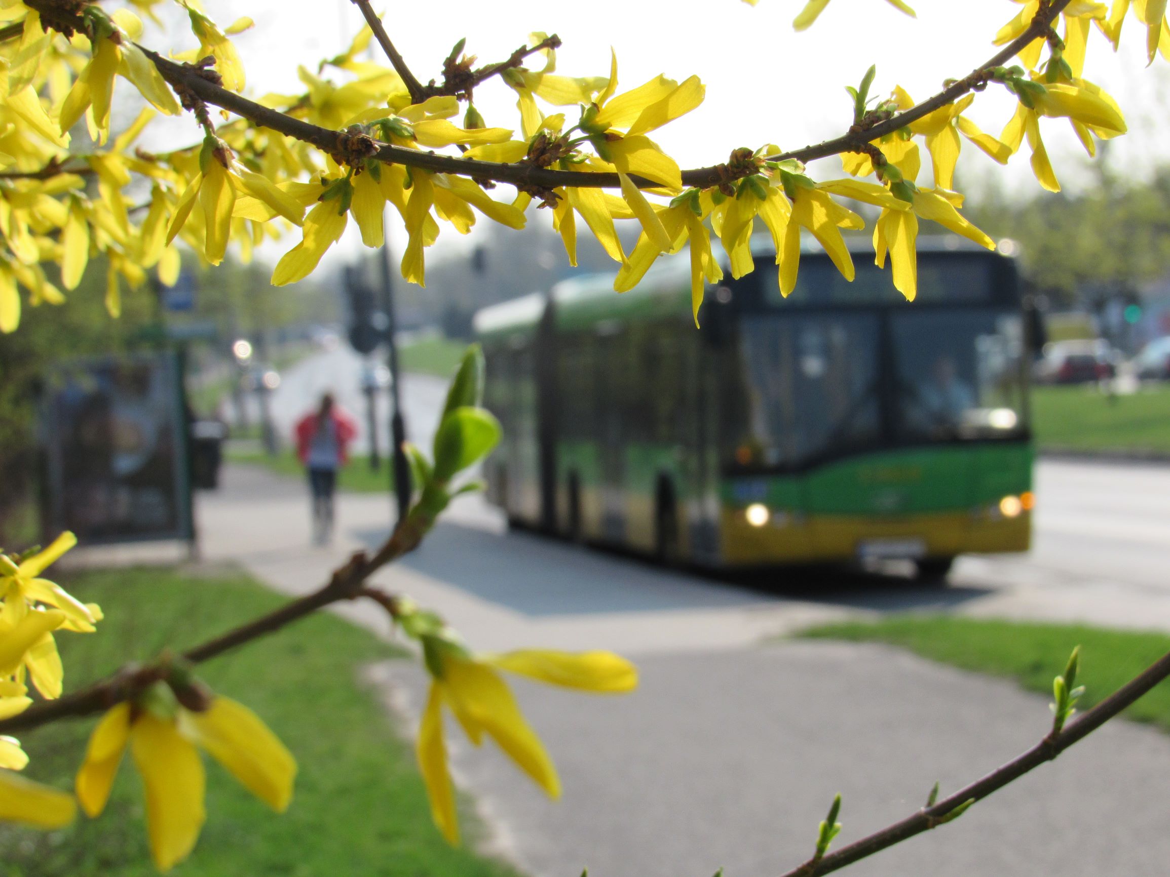Funkcjonowanie transportu publicznego na liniach miejskich i podmiejskich w Wielkanoc 2021  
