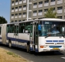 Linie turystyczne: W sobotę na linii nr 100 będzie kursował autobus Karosa C943 z Czech. Zaplanowano także nocny kurs historycznym tramwajem