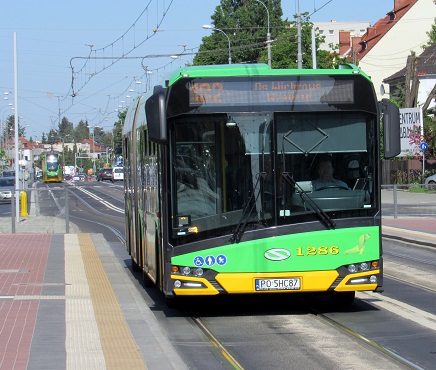 Powrót autobusów linii numer 182, 191, 195 i 239 na przystanek tramwajowo-autobusowy Żeromskiego – od poniedziałku 9 grudnia