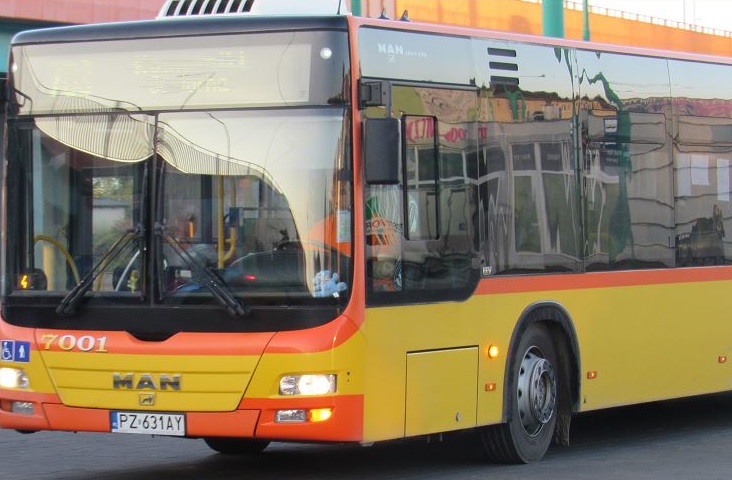 Prace na skrzyżowaniu ulic Fabianowskiej i Skrytej w Plewiskach. Zmiana trasy autobusów linii nr 710 