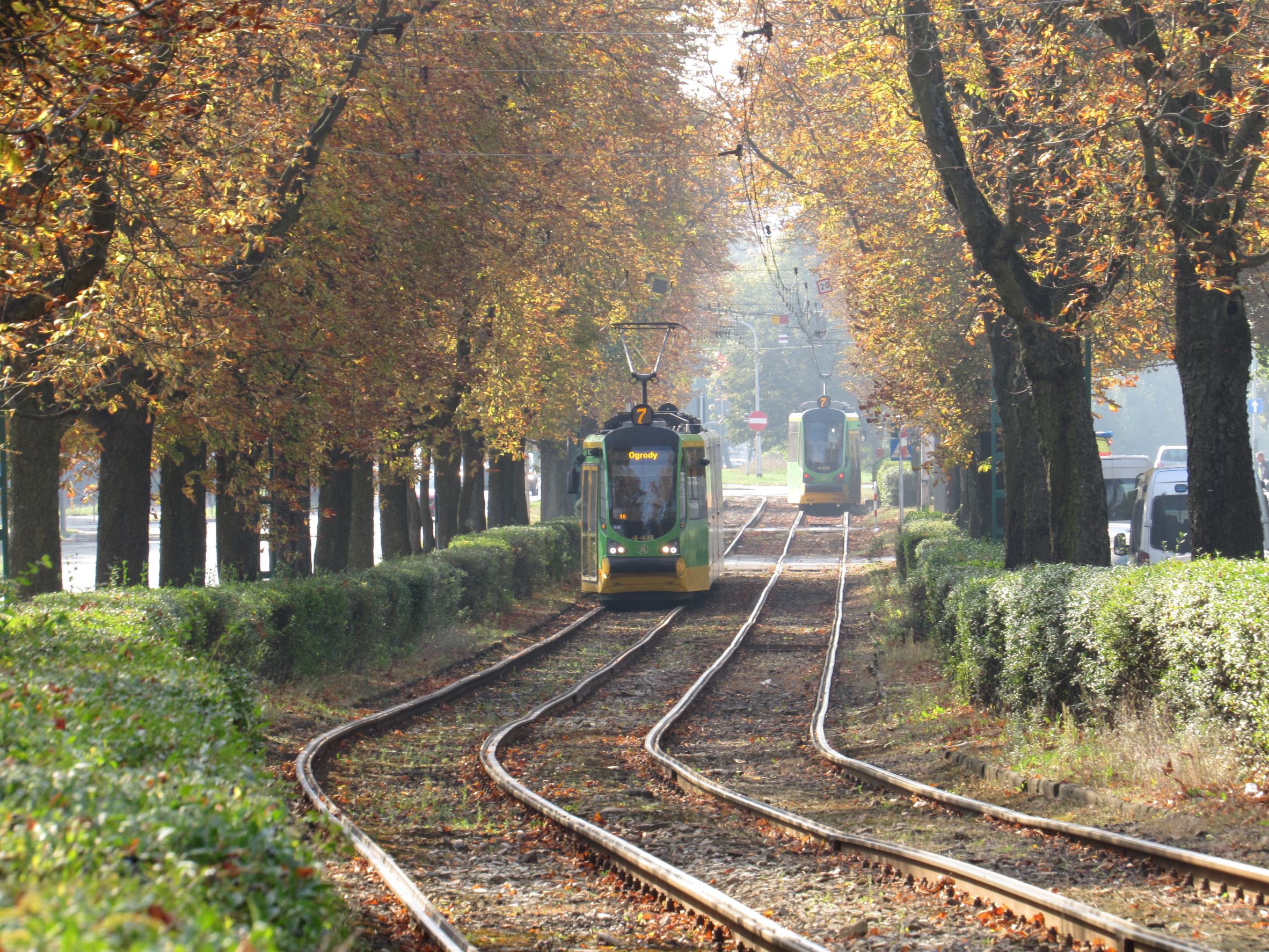 Jak dojechać na cmentarz? Sprawdź, jak będzie funkcjonować transport publiczny w dniach od 23 października do 2 listopada