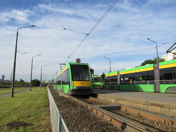 Noc Muzeów – częstsze kursy na linii numer 16 - 14 maja (sobota) 