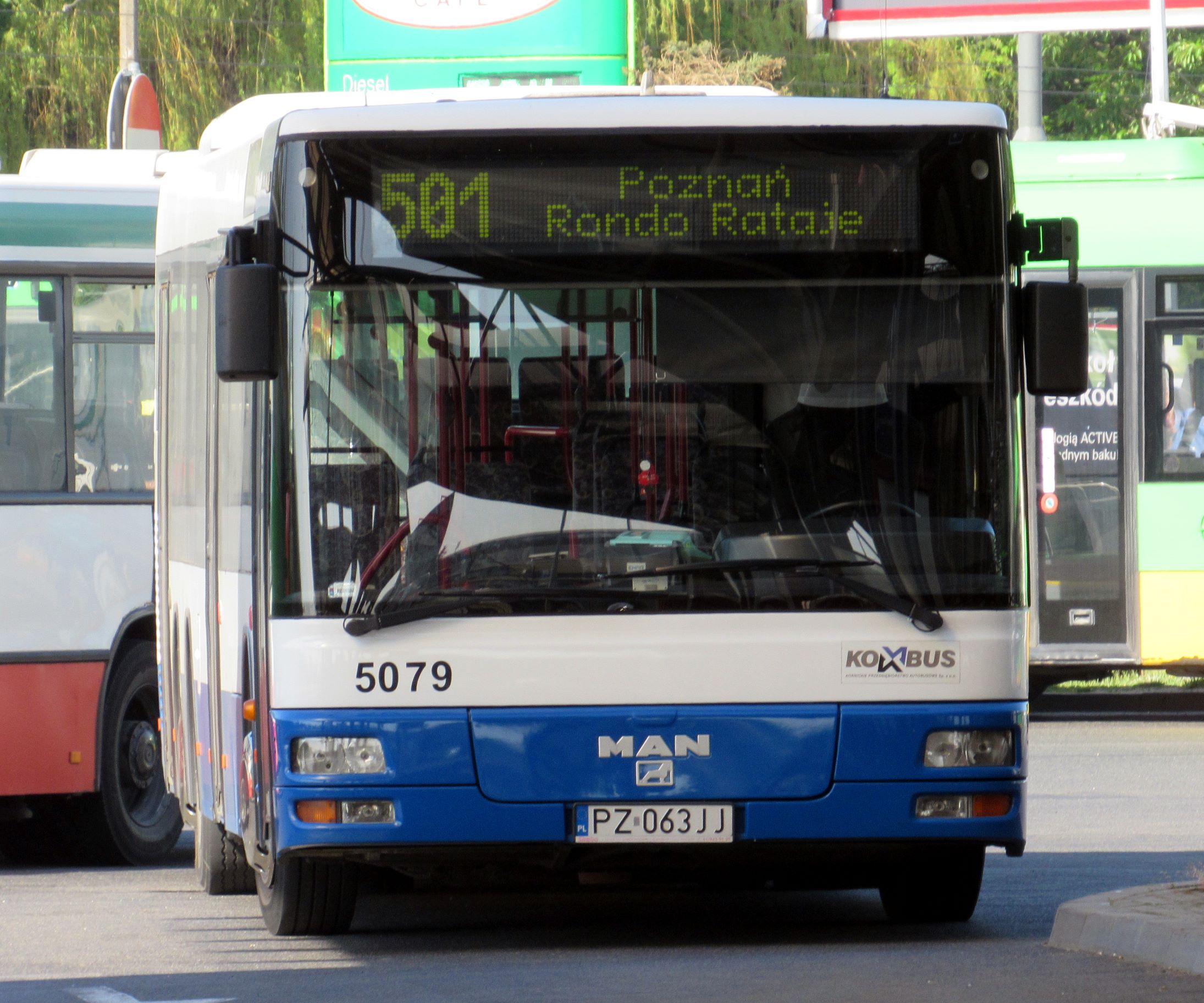 Linie nr 124, 154, 312, 431, 432, 501, 603, 690, 729, 813, 886 i 889 - od poniedziałku (18 stycznia) zmiany w komunikacji miejskiej w rejonie szkół